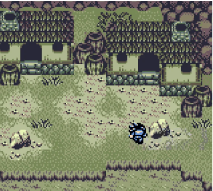 Zephyr's Pass GBC Game Card Random Case
