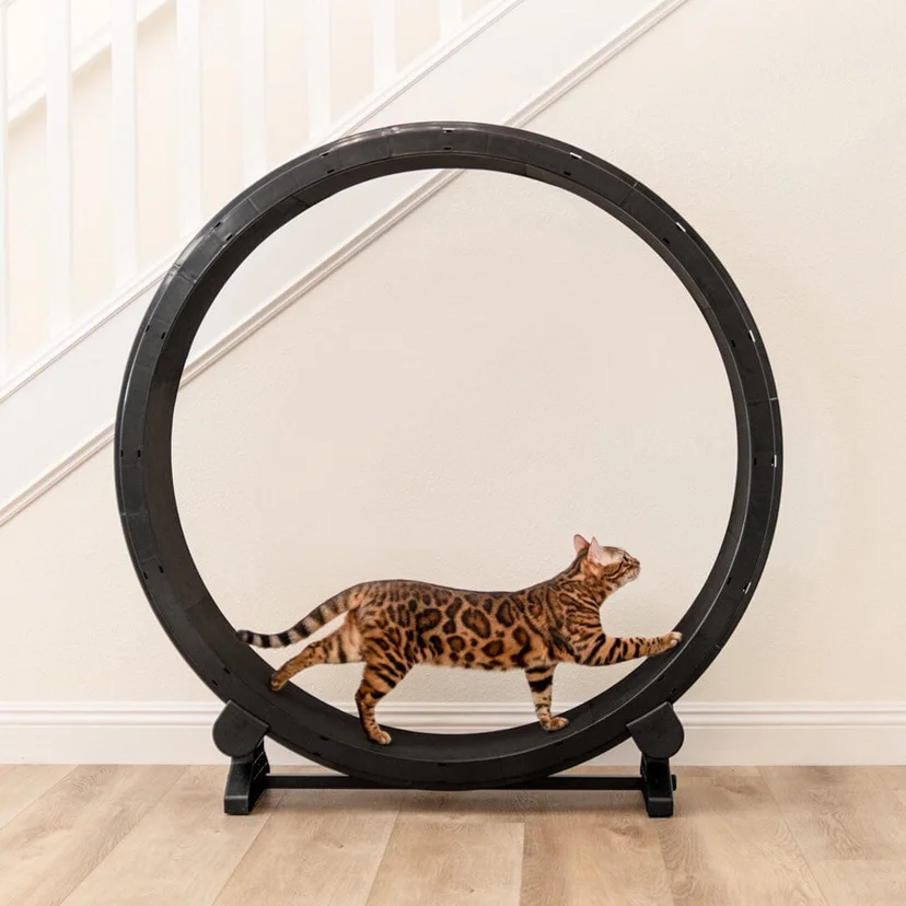 

Cat Running Silent Home Interactive Toy Cat Exercise Pet Treadmill Wheel
