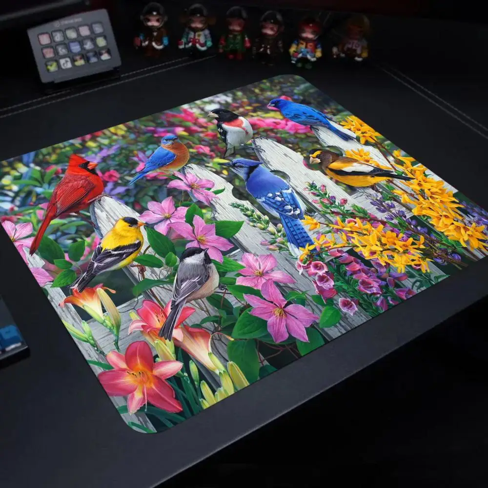 HD Animal Bird Parrot Game Carpet Mouse Pad Anti Slip Mousepad Gaming Mice Mat for PC Laptop Desktop Computer HYBXAXC
