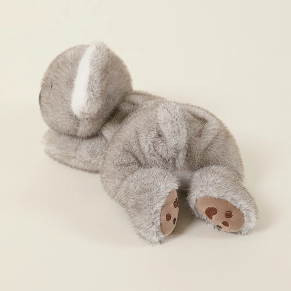 Cute Grey Fluffy An…