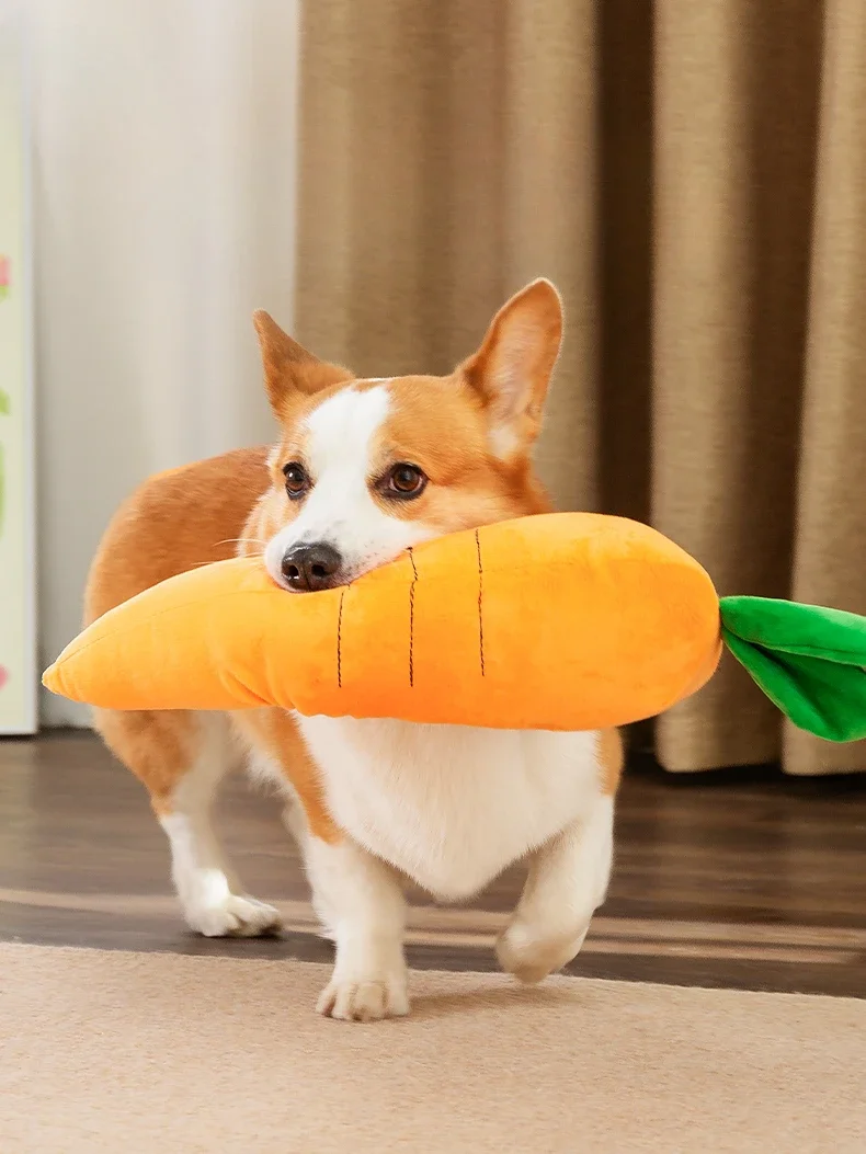 

Cute Sound Toy Carrot Relieving Stuffy Molar Long Lasting Pet Puppy Supplies