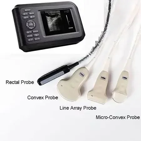 CE Approved China Best Price Medical Ultrasound Equipment Veterinary Ultrasound Vet Clinic