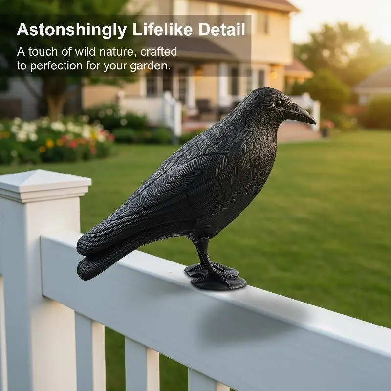 Authentic Crow Lure for Pigeon Displacement in Garden Areas