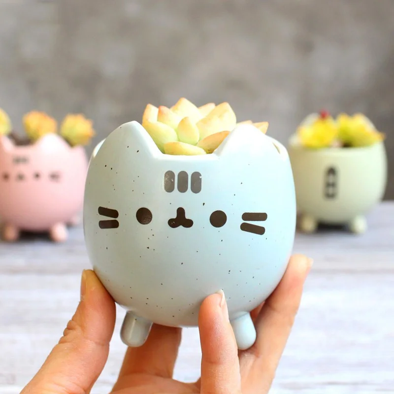 Succulent Pot With Hole Cute Animal Flower Planter Flowerpot Lovely Little Cat Birthday Gift Home Garden Decor Bonsai Pots