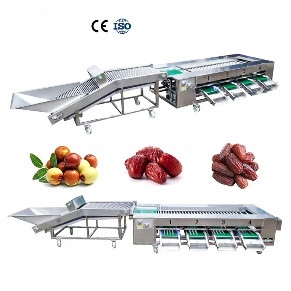 Factory Production Fruit Sorting Machine Cherry/Orange/Haw/jujube/Garlic Grading Sorting Machine Date Palm Sorter