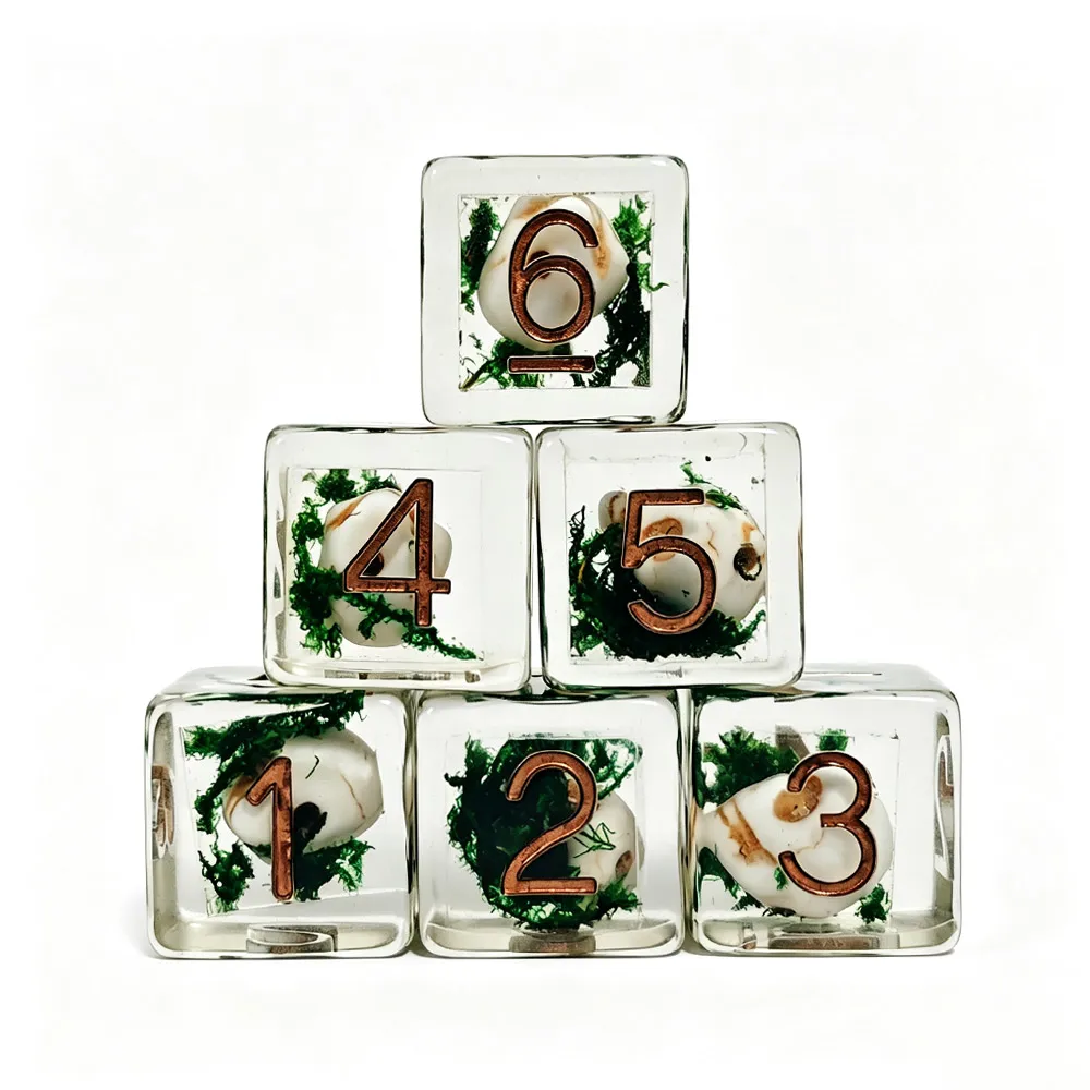 12Pcs 16MM D6 Clear Resin Dice, Embedded Shell & Green Moss, Copper Metallic Dice For DND RPG Tabletop Role Playing Board Game