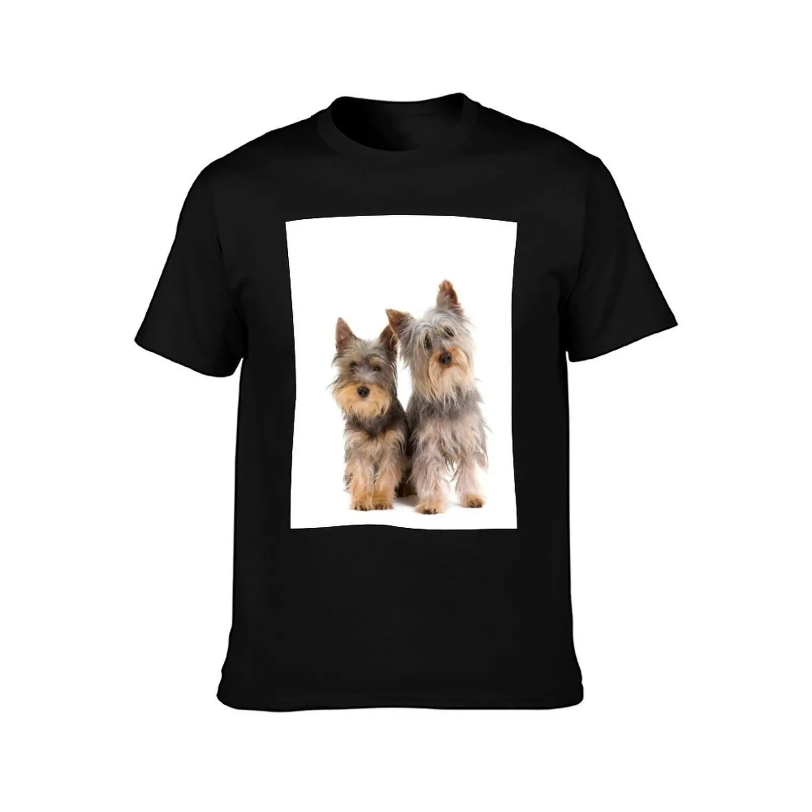 Two best friends Silky Terrier puppies T-Shirt Gym Wear Breathable Short Sleeve Tee T-Shirt