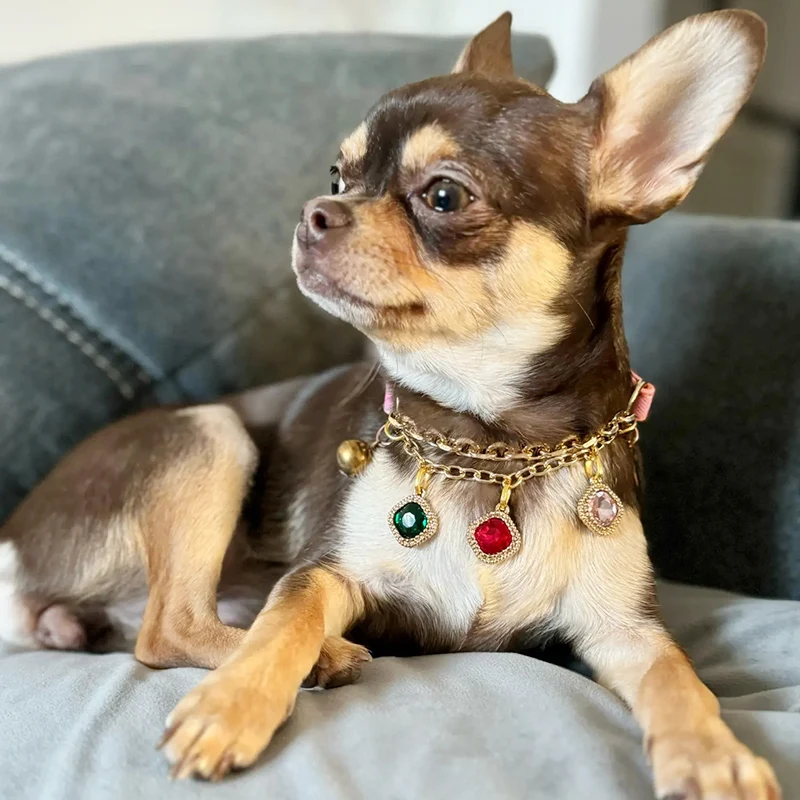 

Pet Collar for Small Dogs Cats Adjustable Diamond Pendant Tassel Dog Collar Puppy Necklace for Wedding Valentines Day Gift