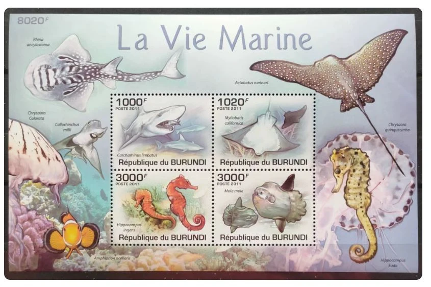 Burundi Postmarken Y2011 Meereslebewesen Hai Seepferdchen Raucherfische Fisch 1 Set 4 Neue Sammlerbriefmarken Material für Scrapbooking – Detail 1