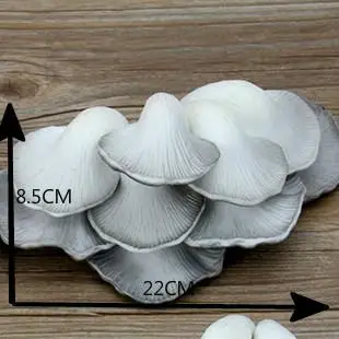 Restaurant Desktop Decoration Crafts, Pu Simulation Food, Mushroom Cabinet Model, Decorative Props, 2 Pcs per Lot image 3