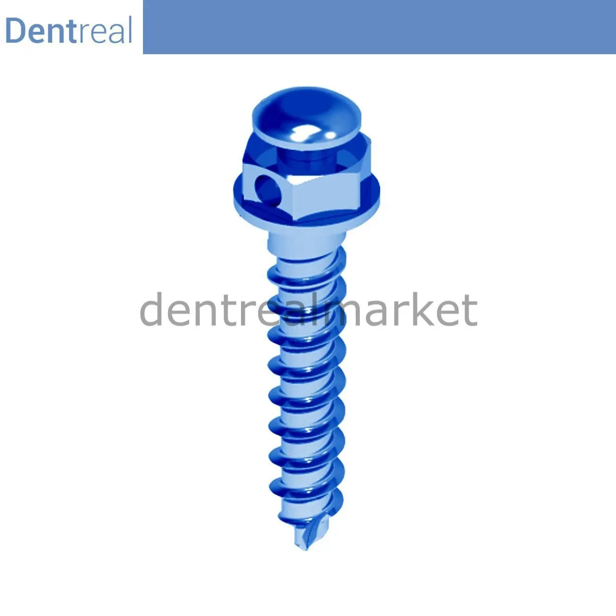 Dentreal - Orthofix Orthodontic 1.6 Screw Refil - Orthodontic Mini Implant-Implant-Implant Screw - 5 Pcs