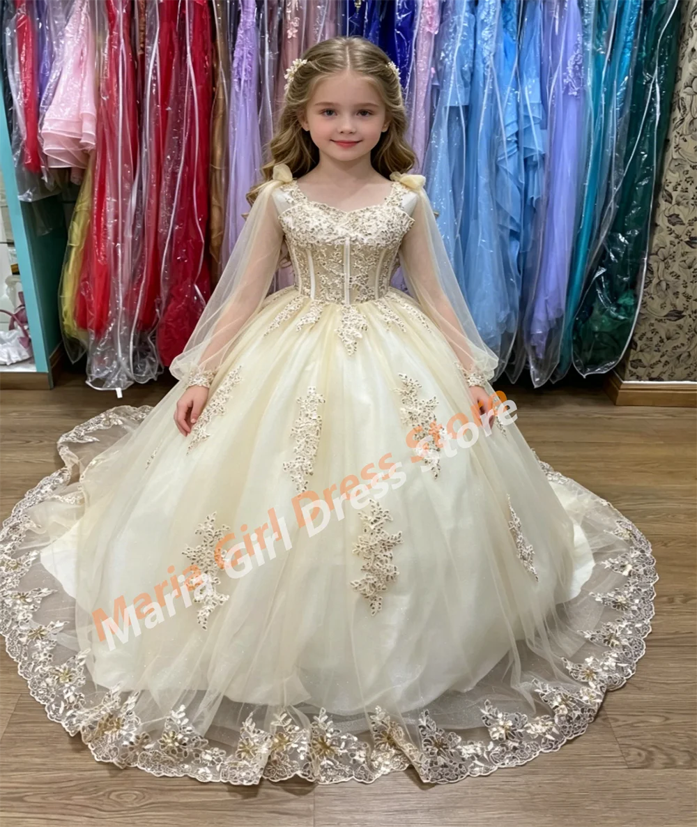 Champagne Transparent Long-sleeve Fluffy Girl Princess Dress for Wedding Lace Embroidered Floor-length Birthday Party Dress