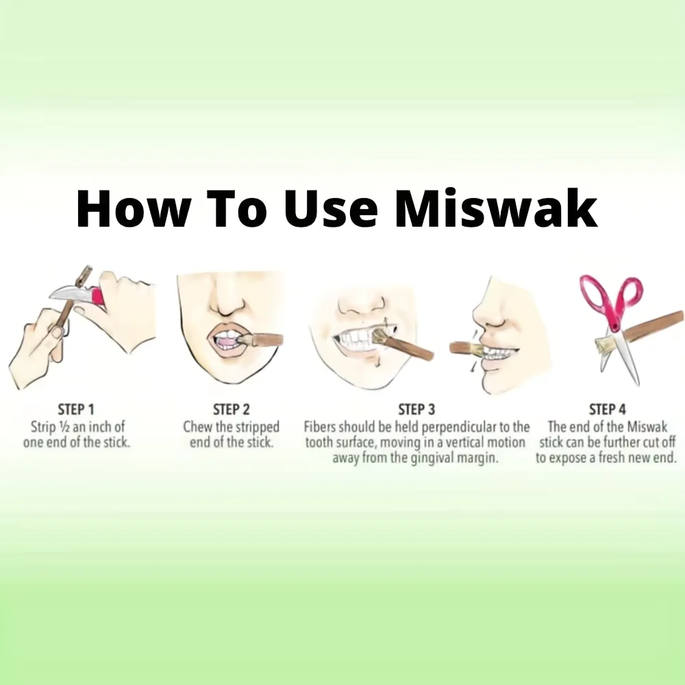 Natürliche Miswak-Zahnbürste, vakuumversiegelt, natürlicher Geschmack, traditioneller Zahnbürstenstab für gesundes Zahnfleisch, frischerer Atem, Geschenk. – Detail 7
