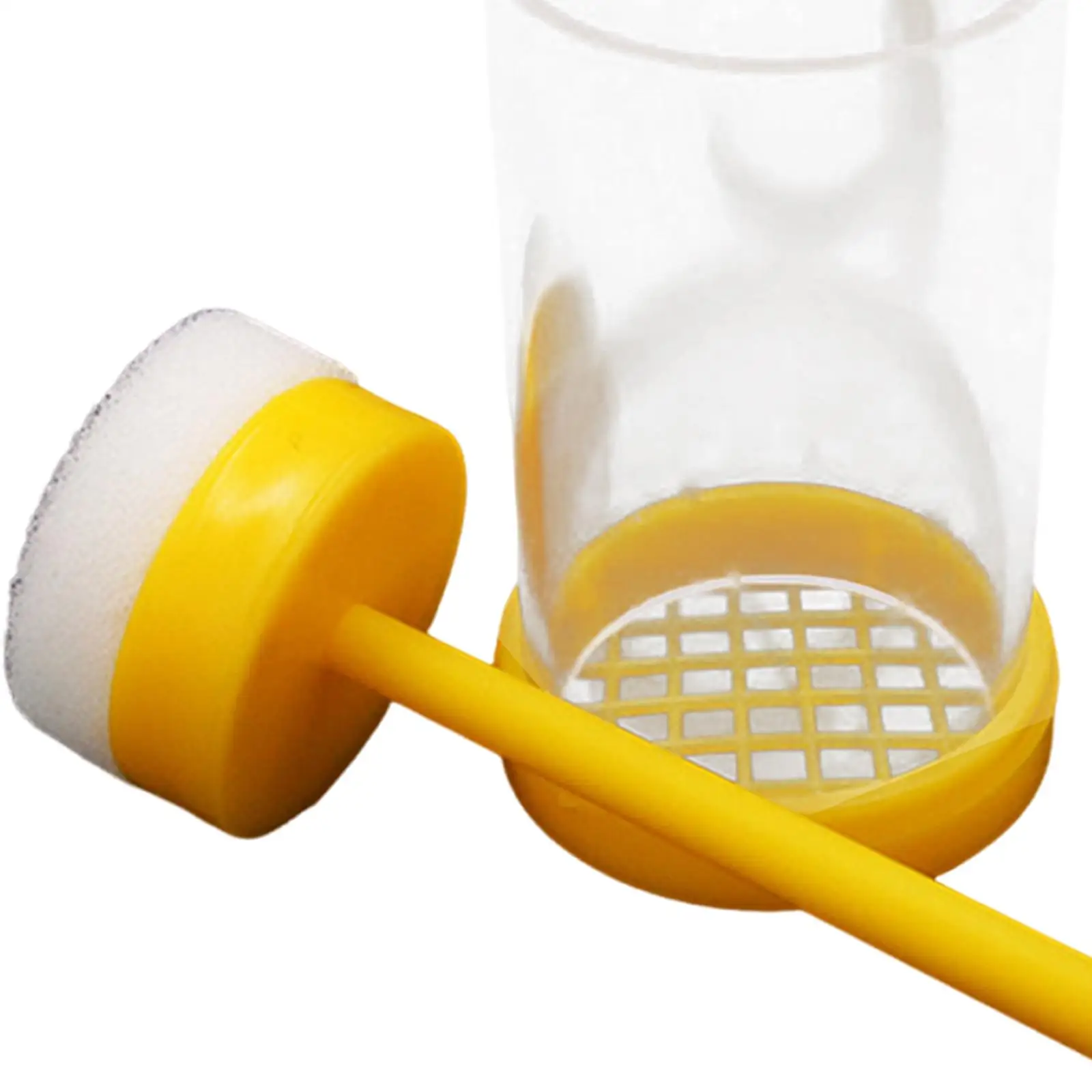 قفص علامة Queen Bee، زجاجة علامات شفافة، أداة تربية النحل خفيفة الوزن لإدارة المستعمرة الفعالة