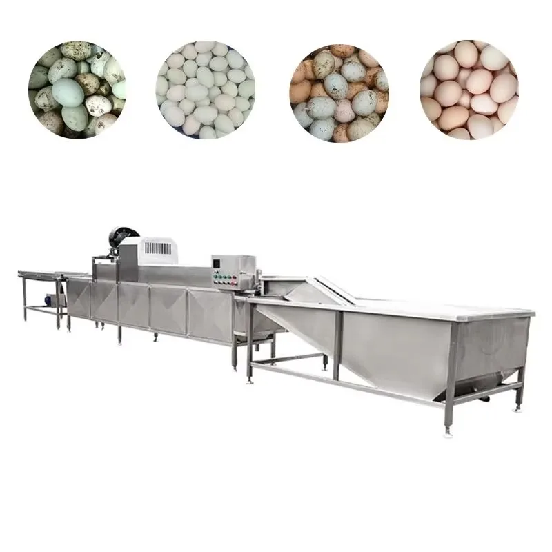 Rapid Production Commercial Egg Washing Machine Customized, Brush Type Automatic Egg Washer with Egg Grading and Drying System