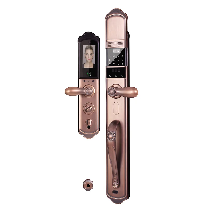 

Home villa automatic fingerprint facial recognition password wooden door smart door lock