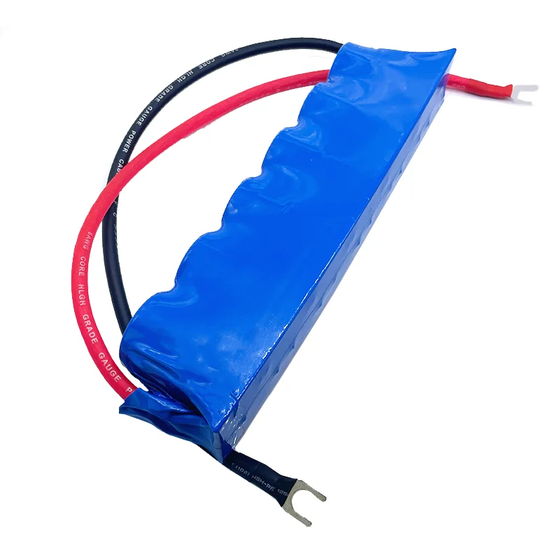 PowerStor Aerogel 16V50F Automobile Rectifier Module 2.7V300F Series Connection Ignition Kit Power Supply With Heat Shrink Shell