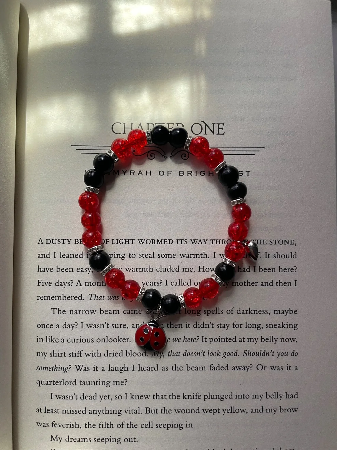 Black Cat and Ladybug Inspiration Bracelet