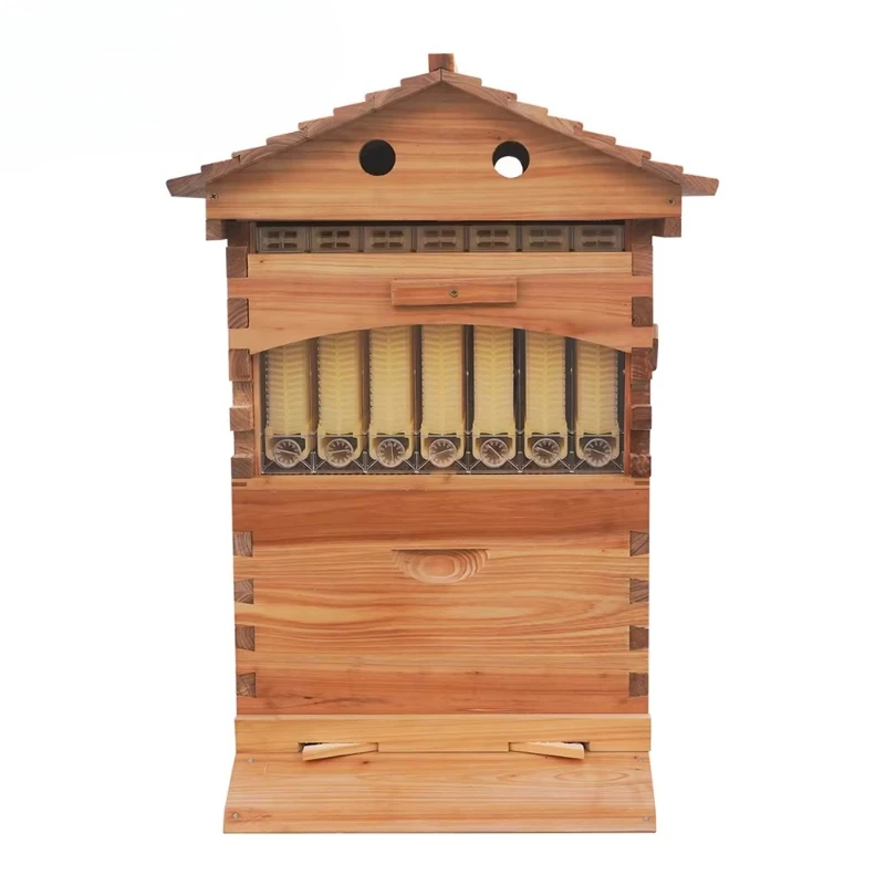 

Automatic Honey Flow Honeycomb Hive