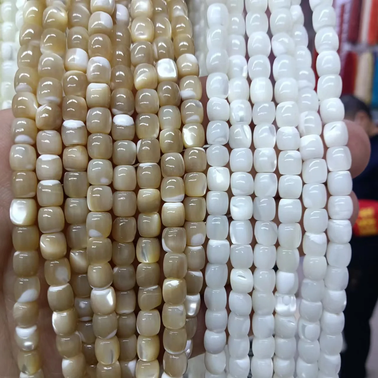 Trochidae shell white/brown pillar 6/8mm for DIY jewelry making  loose beads  FPPJ wholesale beads nature gemstone