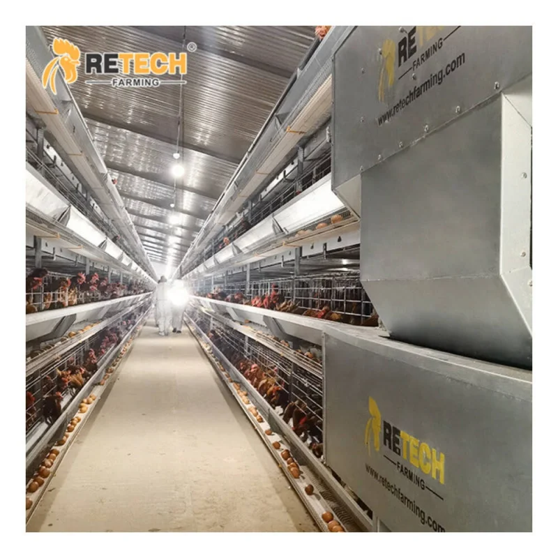 

Автоматическая многослойная клетка H-типа, куриный дом для птицефермы Южной Африки