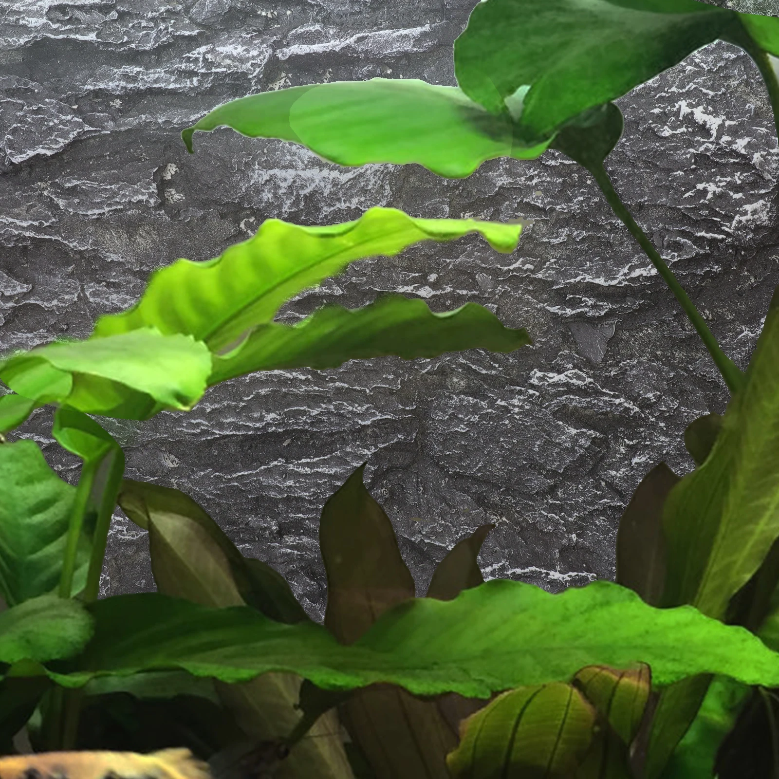 

Rock Panel Decor 3D Landscape Board For Reptile Tank Fish Aquarium Terrarium Background Wall Scene Cling Habitat Decor Setup