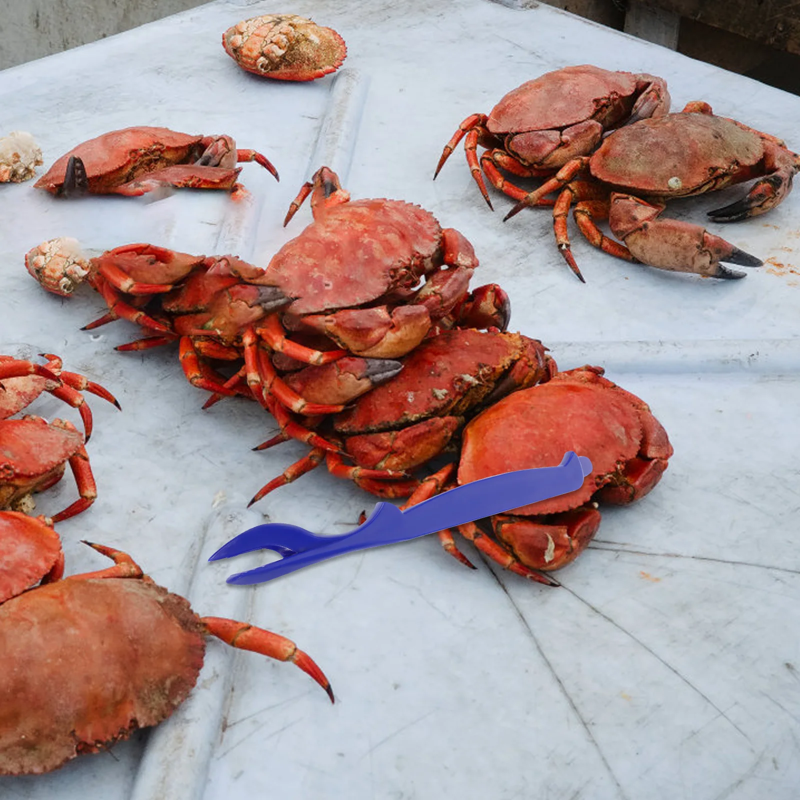 

10Pcs Reusable Crab Fork Plastic Seafood Eating Tool for Home Restaurant Hotel Easy Crab Shell Cracking Multifunctional Seafood