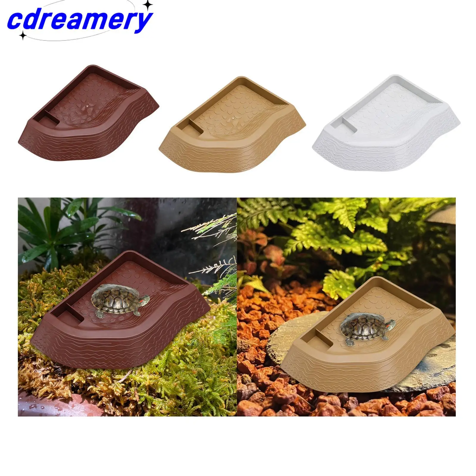 Cdy Reptile Bathing…