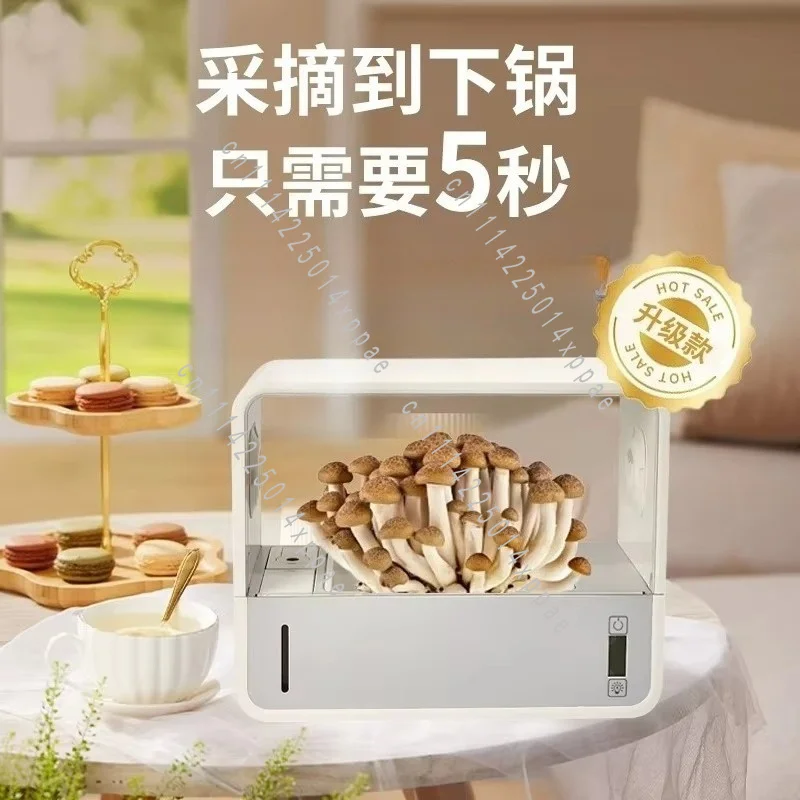 Home Ecological Growing Kit Smart Indoor Shiitake Mushroom Cultivation Box