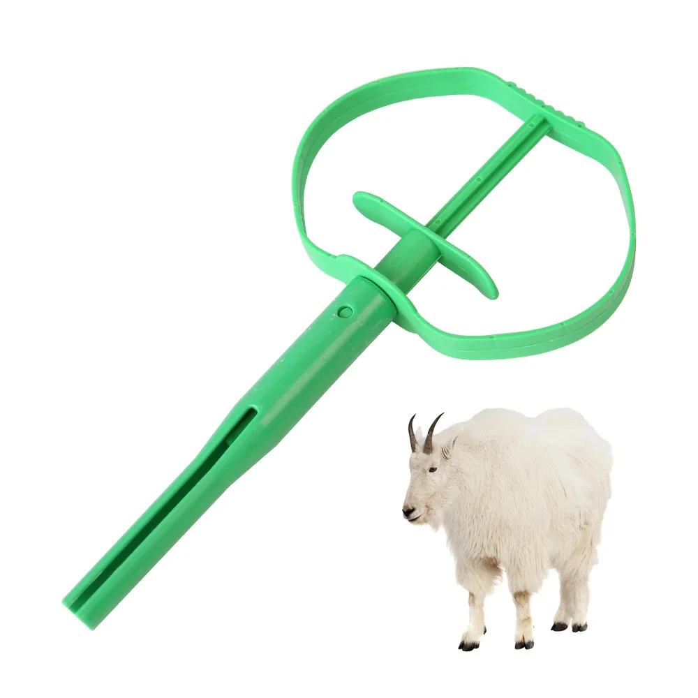 Green Livestock Plastic Inserts Applicator Veterinary for Artificial Insemination of Sheep and Goats