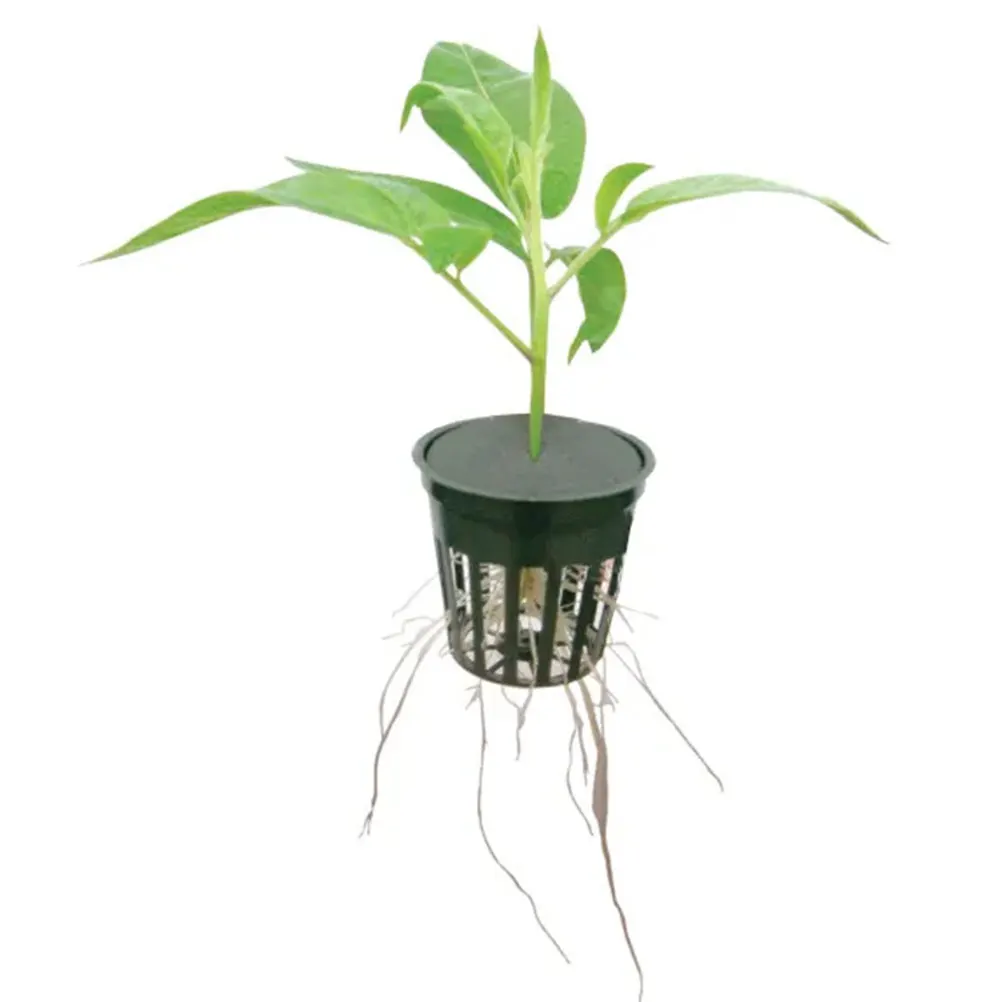 

40pcs EVA Hydroponic Cloning Collars Soilless Planting Sponges Black Orange Cross Hole Fixing Fruit Tree Seedling Pots Gardening