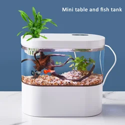 Desktop Creative Mini Aquarium Fish Tank with Biochemical Filtration System LED Light Betta Fishs  Ecological Water Cycle