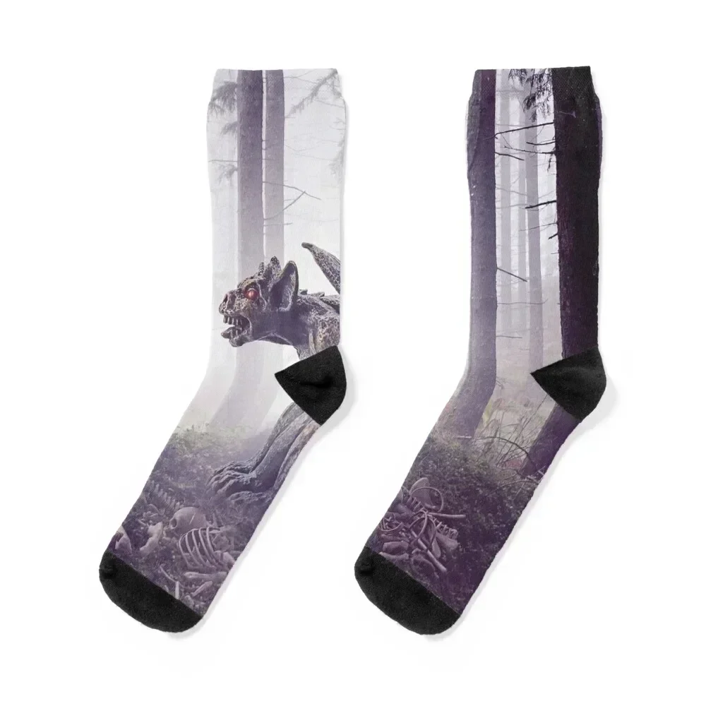 

Mysterious gargoyle shrouded in fog Socks floor Wholesale colored Socks For Girls Men's