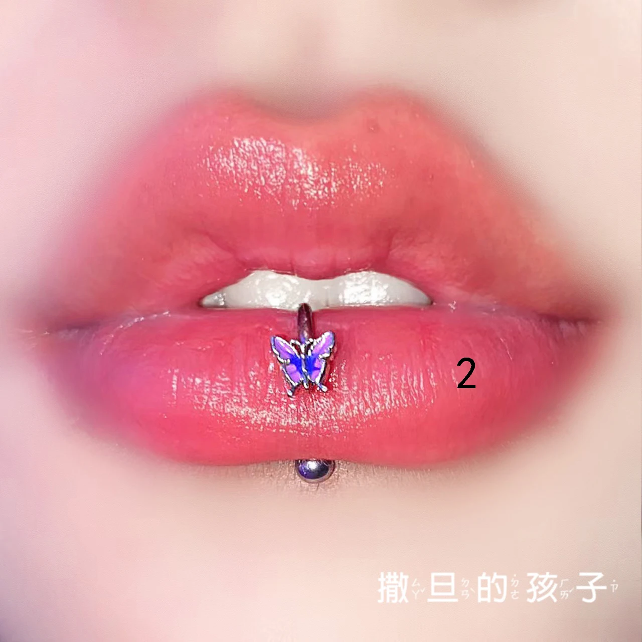 1.2mm stainless steel butterfl - Body Jewelry Rings review and price