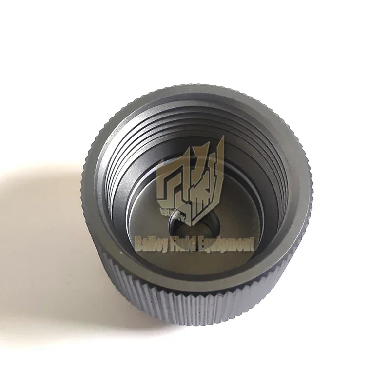 Airless Paint Spray Filter Cap for Piston Pump Accessory Part for Grc Sprayer 1095 5900 1595 16T543