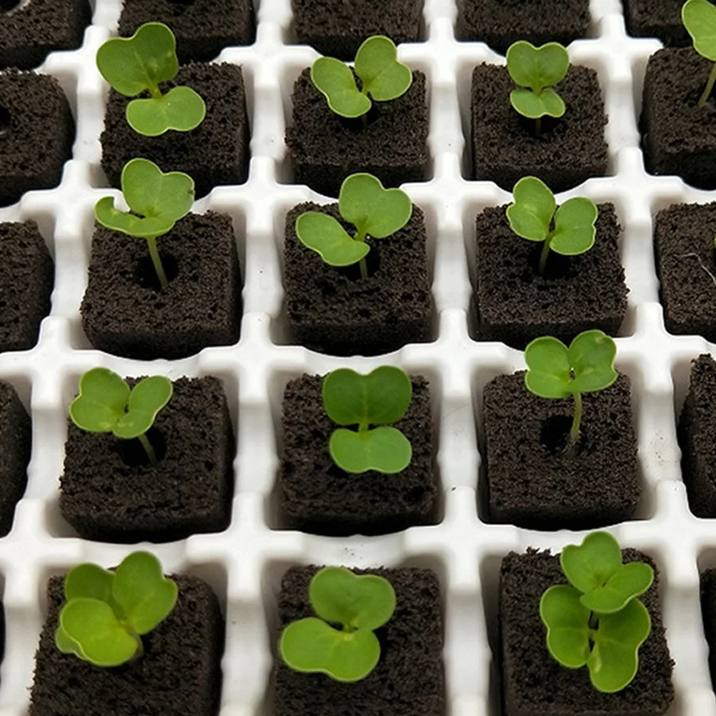 

50 шт. блоки для выращивания овощей, растения, цветы, питательный почвенный блок для комнатных растений, начинающие выращивание садовых принадлежностей