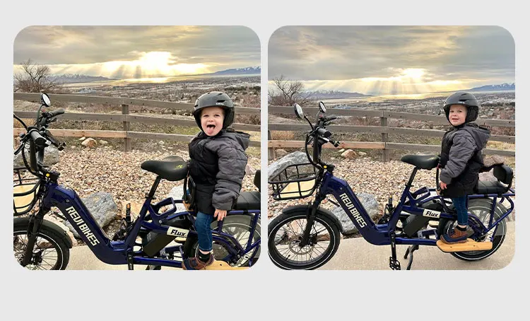 US in  Dual Removable Lithium Battery Optional Seat Basket Ebike Bicycle 250W-750W Powerful Motor Electric Cargo Bike image 9