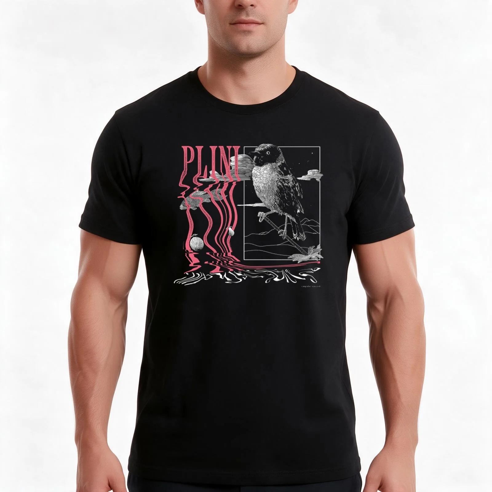 Plini T-Shirt, Summer Casual Cotton Tee, Oversized Streetwear Tops, Vintage Graphic Print, Loose Fit Short Sleeve, 100% Cotton