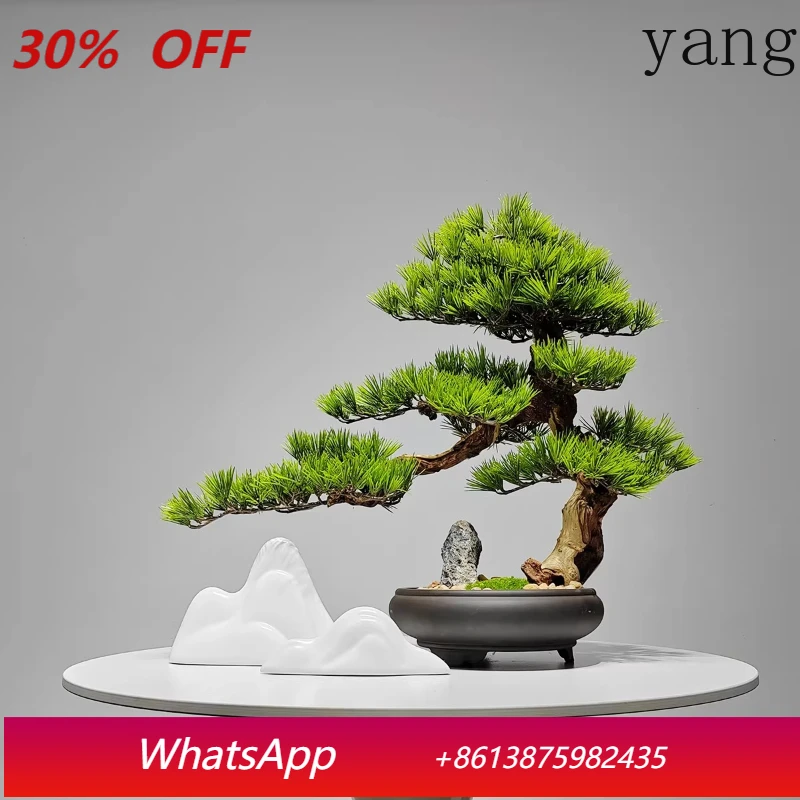 

LH New Chinese Simulation Green Plant Soft Decoration Bonsai Welcome Pine Hotel Clubhouse Restaurant Ornament