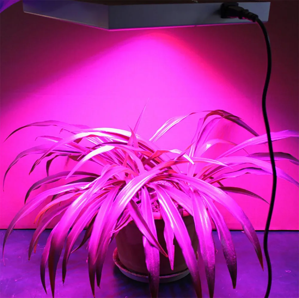 Imagem -05 - Cob Chip Phyto Lamp Ac220v Ac220v 10w 20w 30w 50w Espectro Completo para Planta de Interior Mini Estufa Plantas