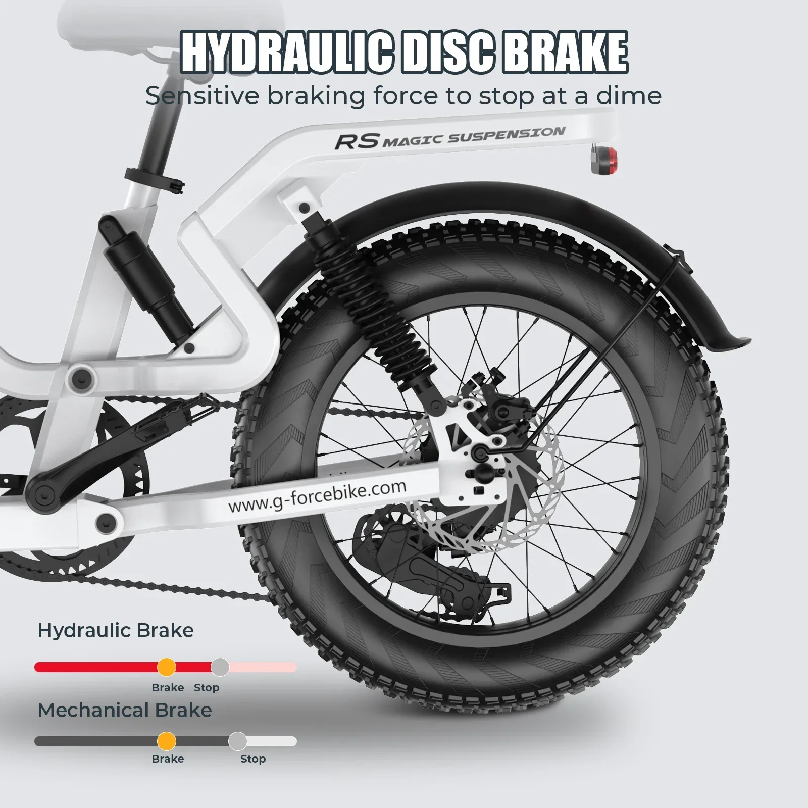 دراجة كهربائية نمط جديد محرك 750 واط 48 فولت 25 أمبير بطارية الكبار دراجة كهربائية 20 بوصة الإطارات جميع التضاريس منطقة جبلية E-الدراجة #4