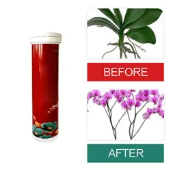 Garden Universal Slow-Release Tablet Recovery Orchid Succulent Plant Indoor Plant Organic Fertilizer Plant Slow Release Agent