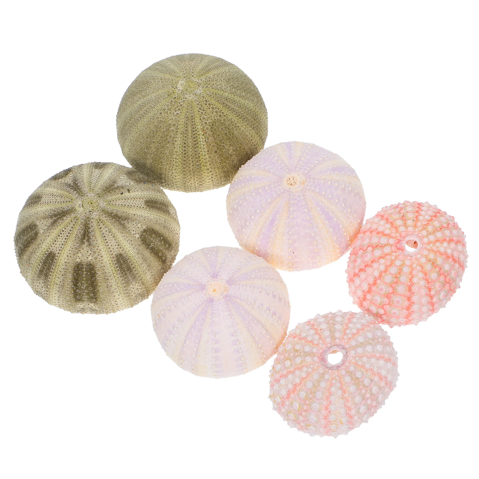 

6Pcs Water Urchin Decor Aquarium Decorations for Fish Tank Home Office Desktop Landscaping Vivid Realistic Ornaments Safe