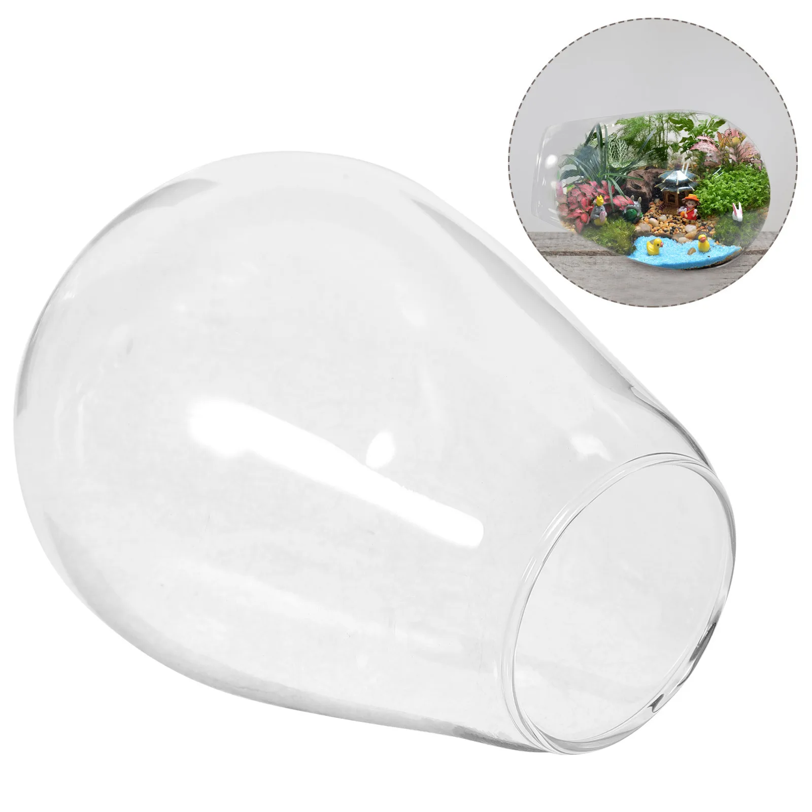 

DIY Glass Bottle Micro Landscape Planter Transparent Ecological Bottle Decorative Tabletop Container Moss Plant Terrarium