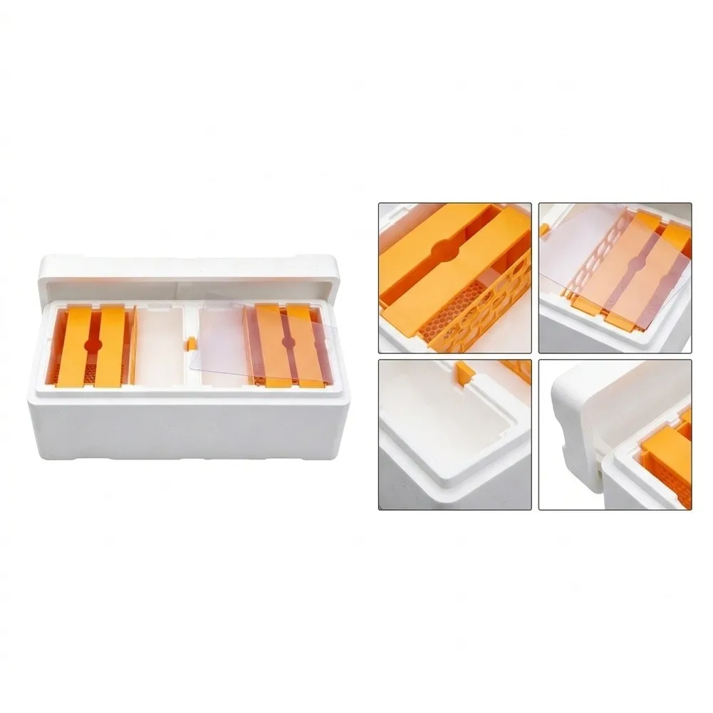 Queen Bee Development Box - Insulated Foam Pollination Housing with Segmented Plastic Layout for Monitoring and Managing
