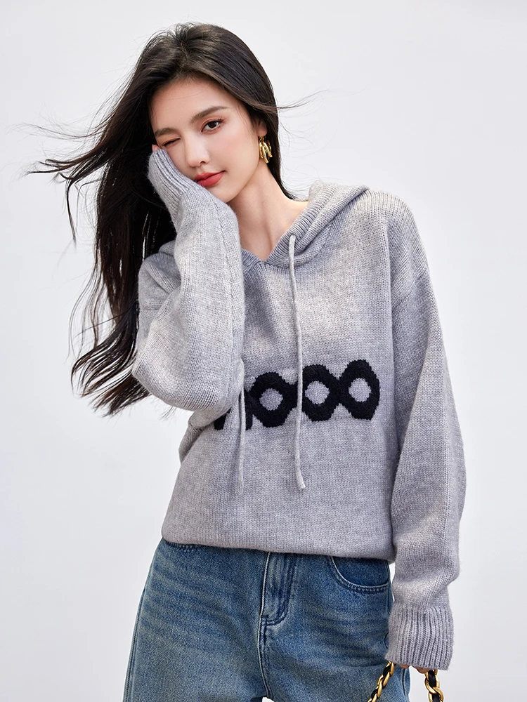 Autumn New Hooded Sweater Women's Loose Versatile Pullover Sweater Lazy Style Warm Long Sleeves Knit Hoodie