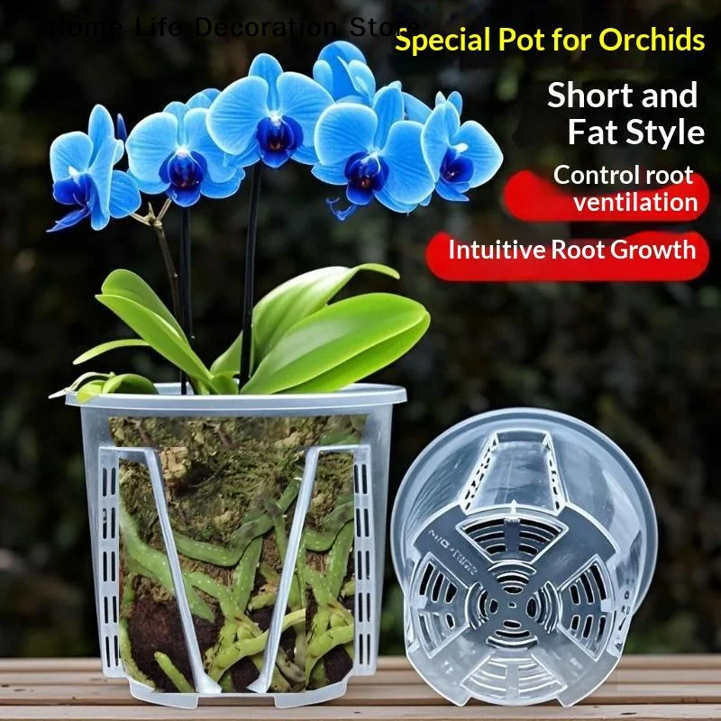 【H】Plastic Root Control Transparent Flower Pot Breathable Beautiful Phalaenopsis Orchid Pots With Stomata Planting Pot