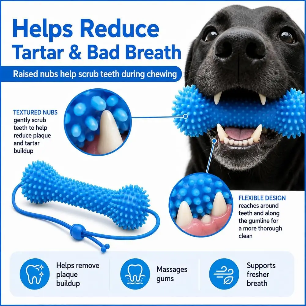 Thumbnail 4 - #66 Cheap Dog Toys Worth Buying