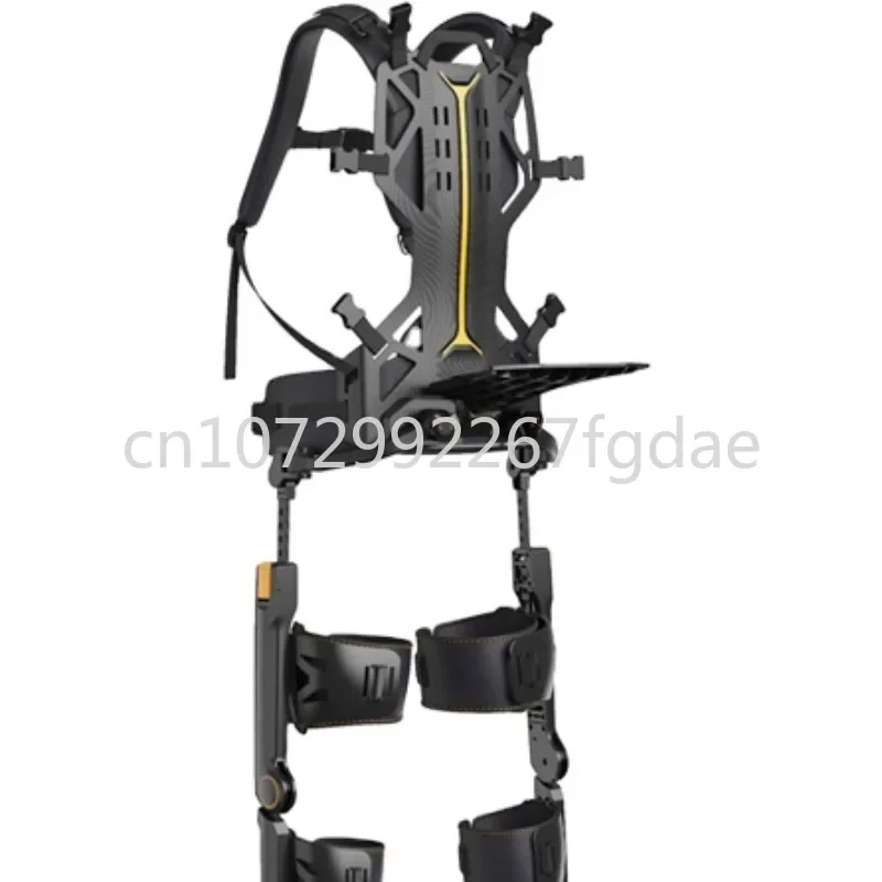 Full Body Dynamic Exoskeleton