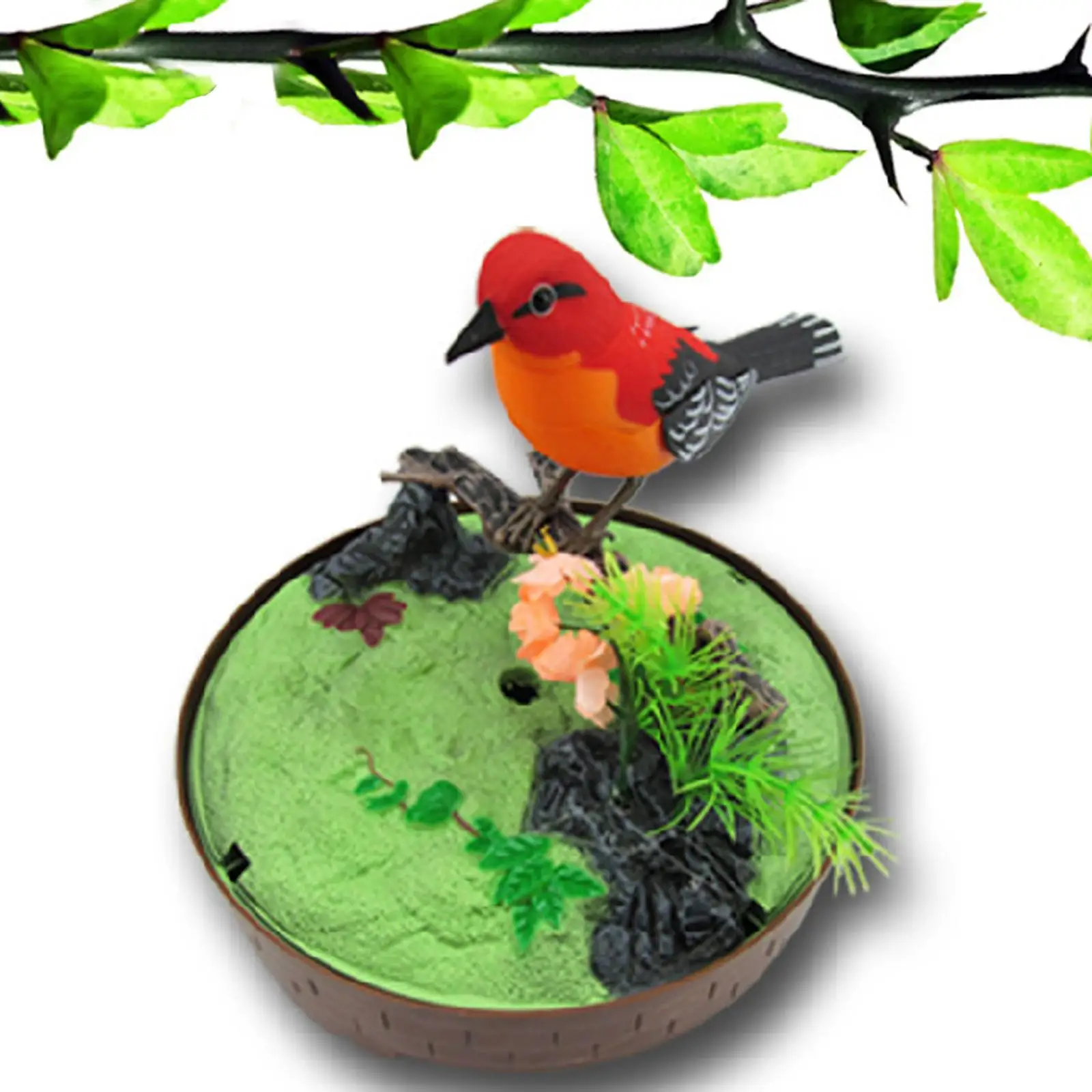 Chirping Bird Bird Development Orange Ornaments Birdcage Singing Animals Random